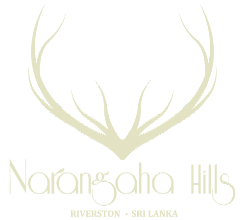 Narangaha Hills | Logo
